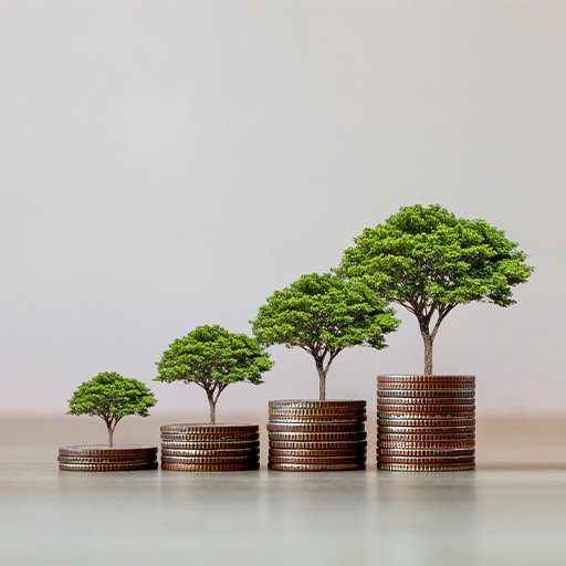 Sürdürülebilirlik